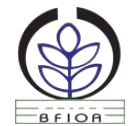 bd flag